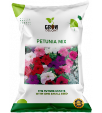 Grow Delight Imported Petunia Mix 100 Seeds Grow Delight Imported Petunia Mix 100 Seeds